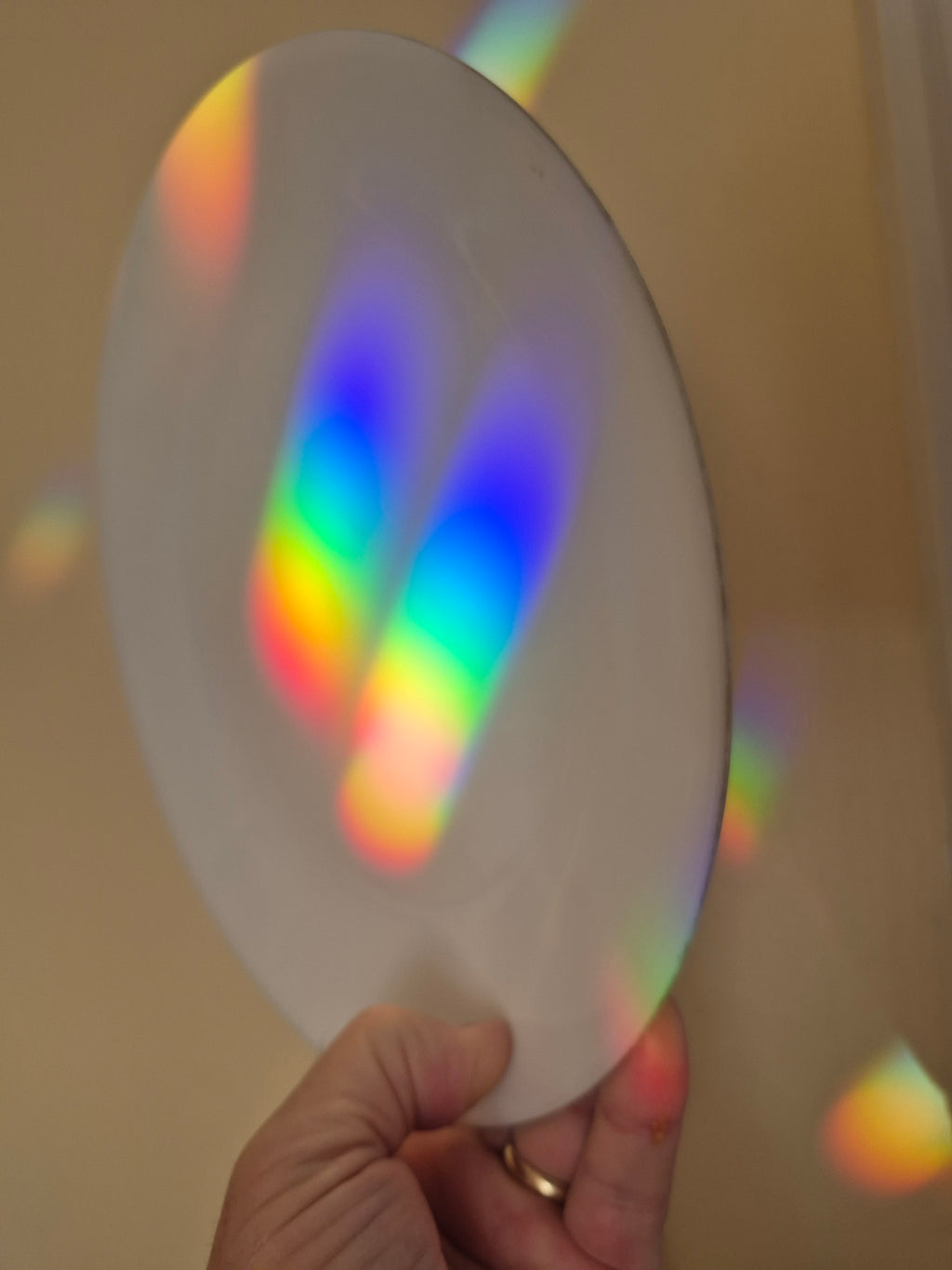 A hand holding a white circular plate showing rainbow-colored light spots from a prism sun catcher in the widow.