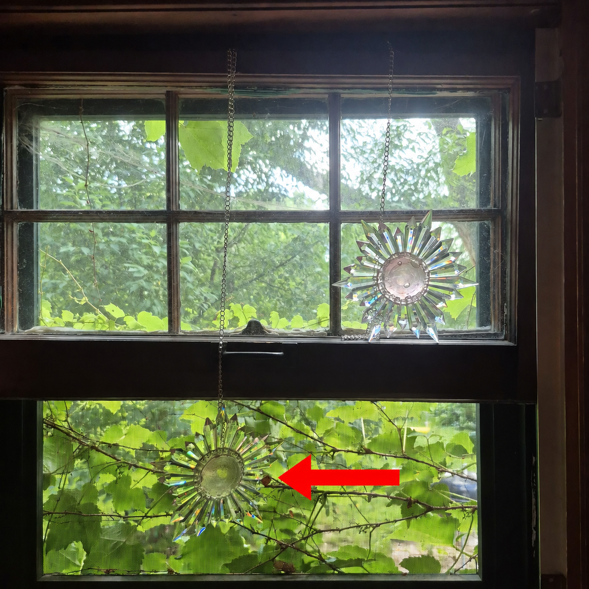 red arrow pointing to a pink prism suncatcher hanging in a sunny window with green background