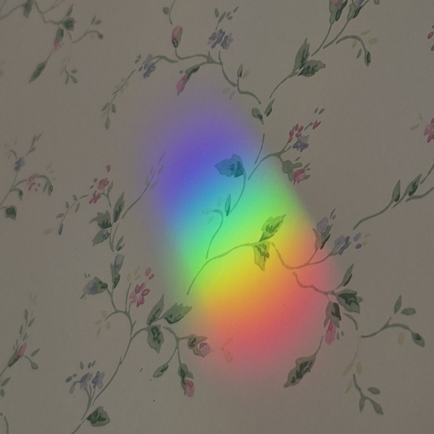 video closeup of brilliant rainbow on flowered wall paper, camera zooms out to see many spectrums all over the wall of a childs room